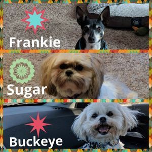 Meet your Posher, Jamie